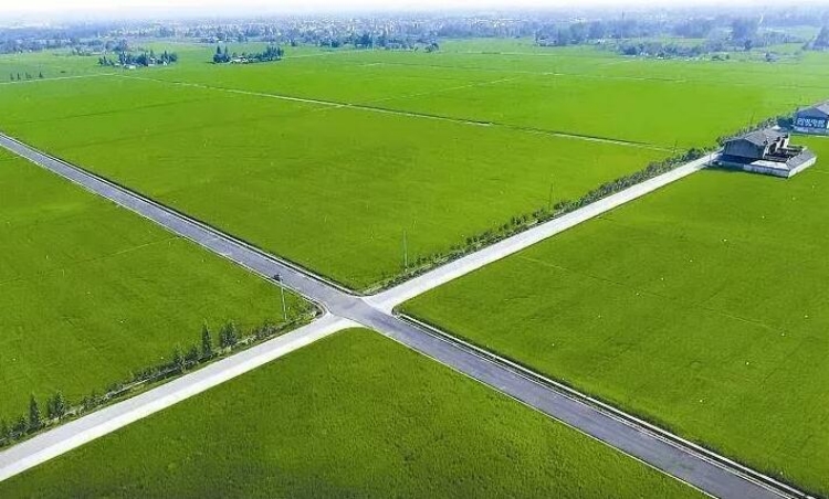 65b22f0b4a977.jpg 图片1_副本.jpg